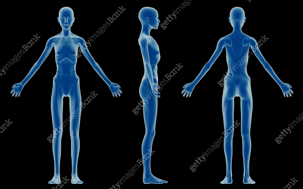 Emaceration Human body of a emaciated woman, for study 이미지 (176057159) - 게티이미지뱅크