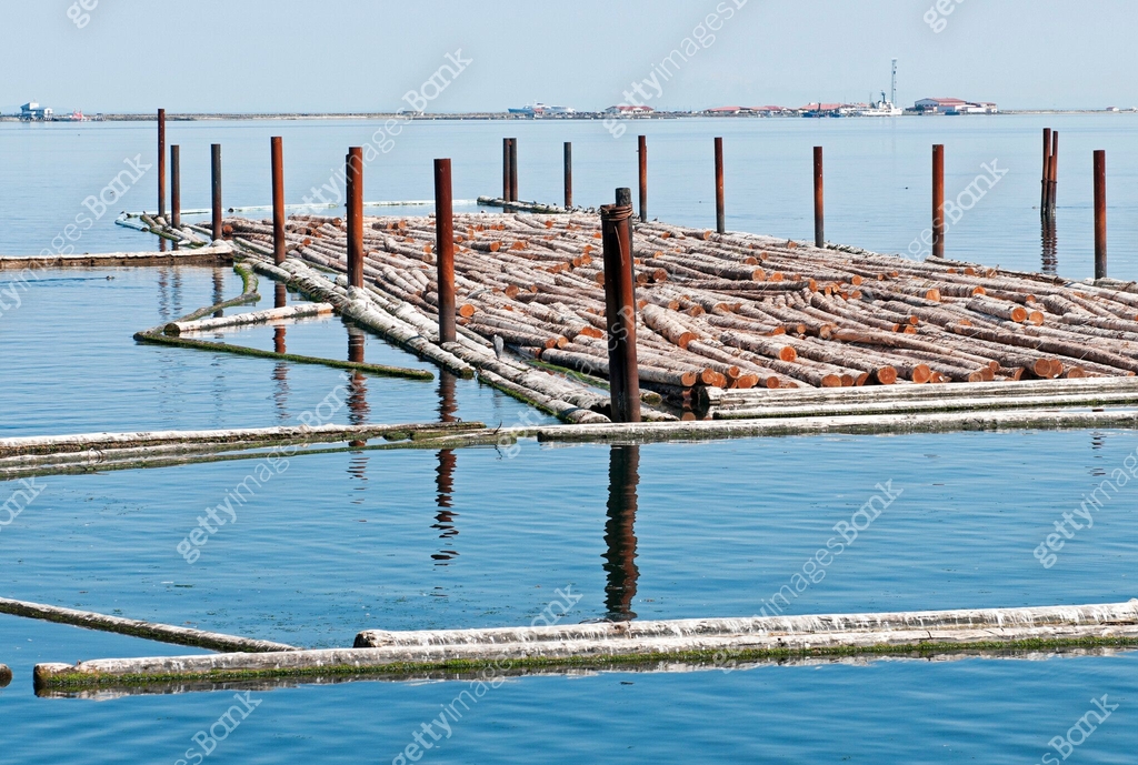 Log raft floating in harbor on Olympic Peninsula 이미지 (171310344) - 게티이미지뱅크