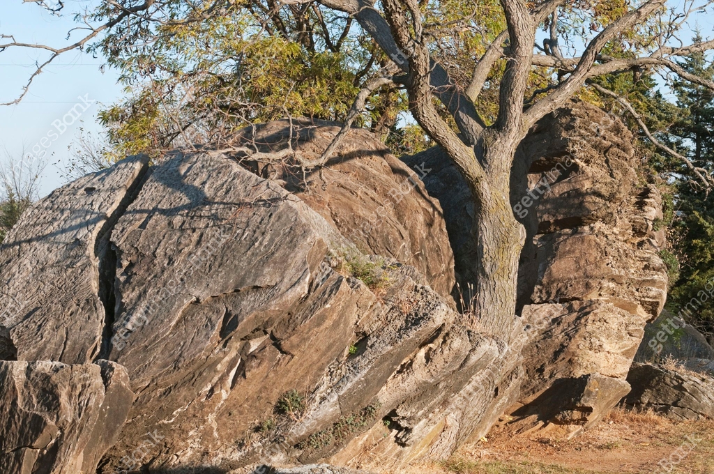 Tree growing among rock formations in Kansas 이미지 (175212743) - 게티이미지뱅크