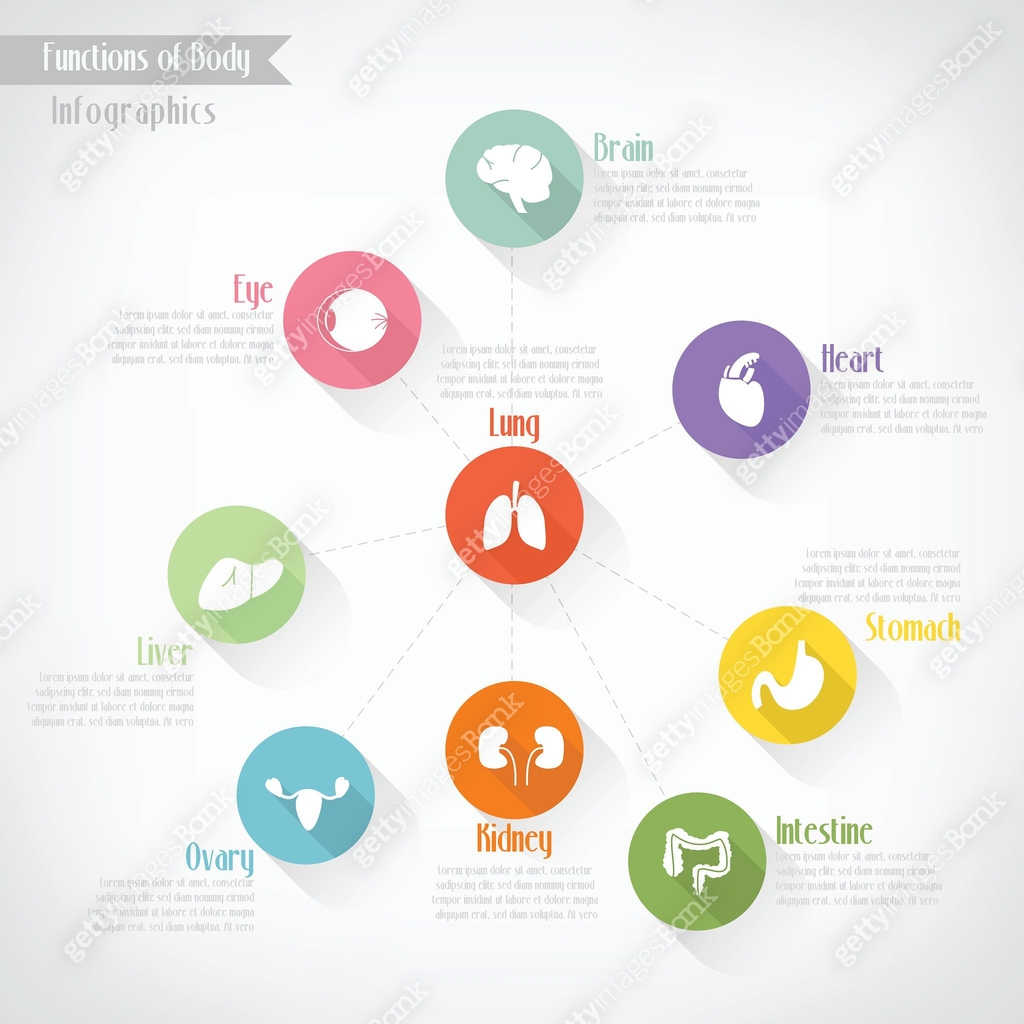 Normal Function Body Image Functions of body infographics, vector eps10 μ΄λ―Έμ§ (499519701) - κ²ν°μ΄λ―Έμ§λ±
ν¬