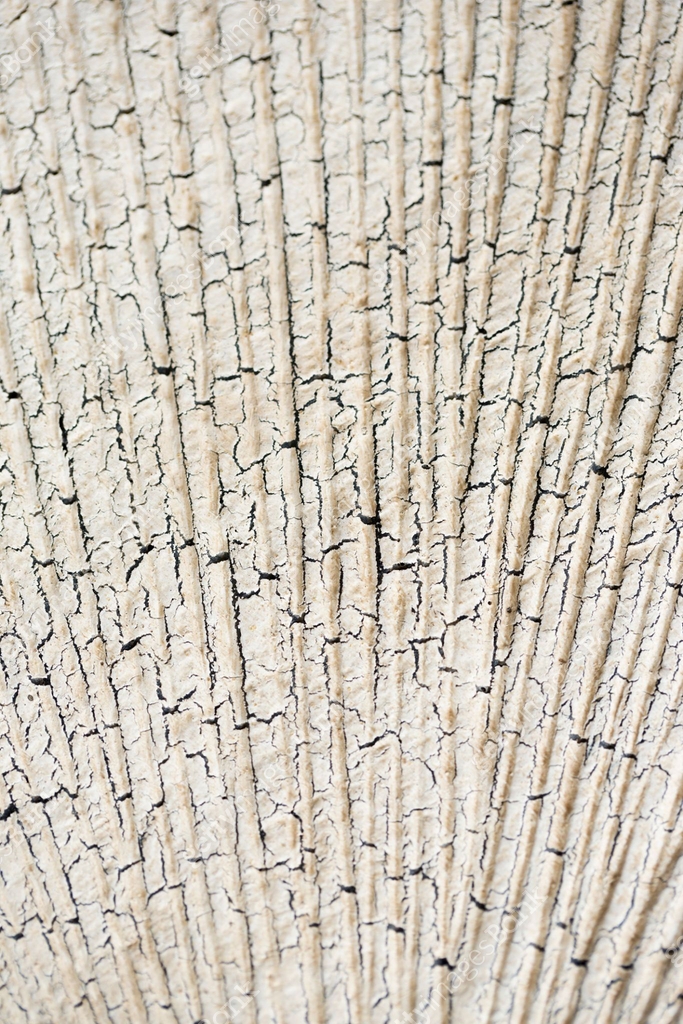cement serrated texture 이미지 (500457251) - 게티이미지뱅크