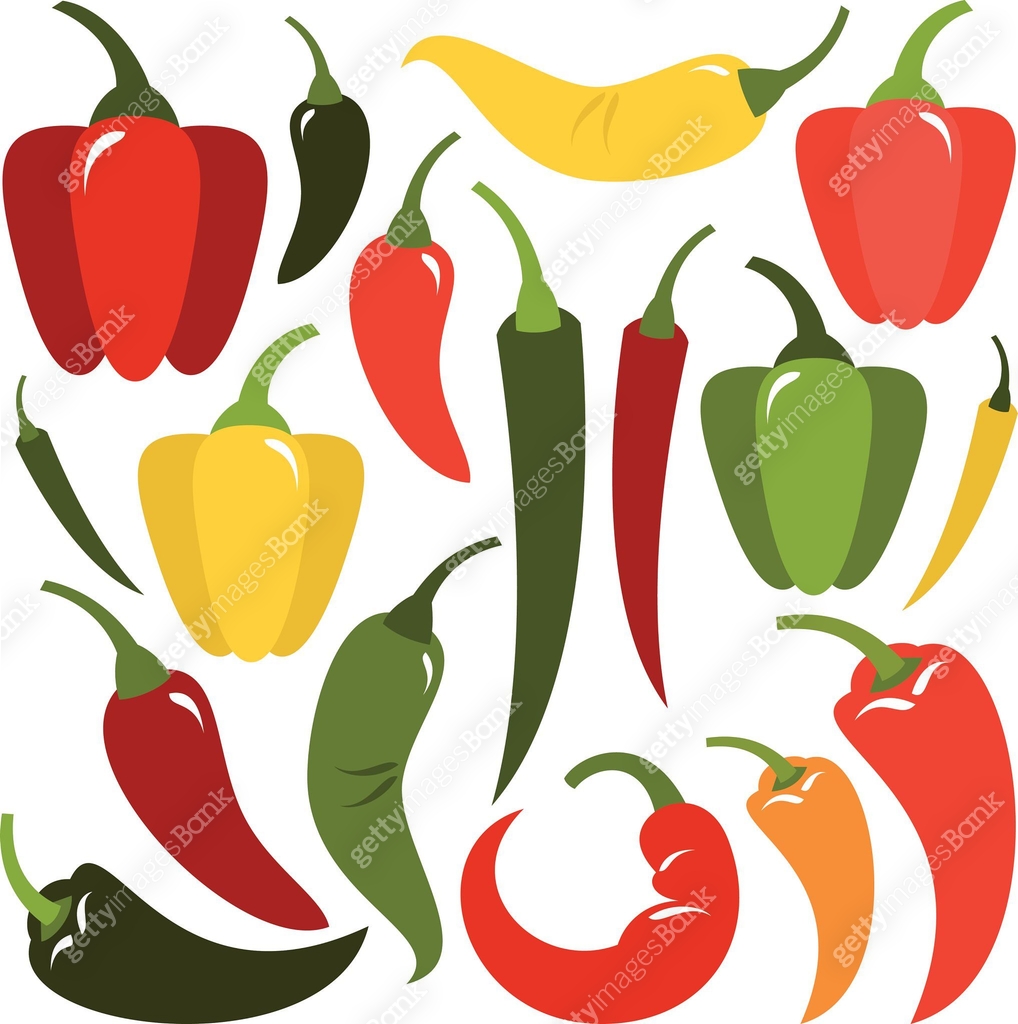 Pepper. Shape The shape and the multicolor varieties of pepper 이미지 (465382864) 일러스트 ...