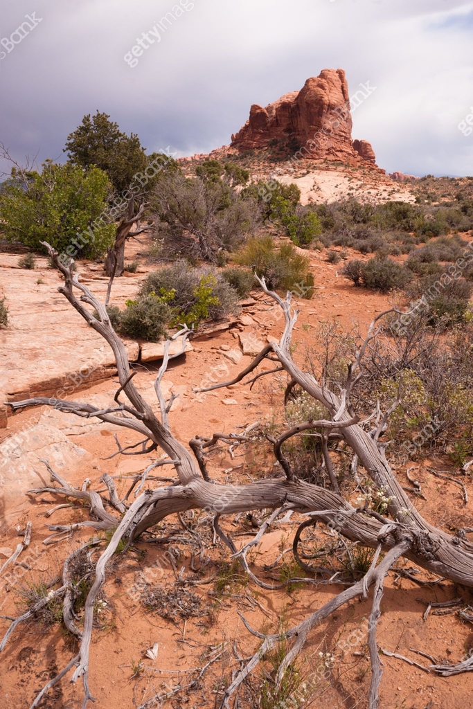 Rain Clouds Gather Over Rock Formations Utah Juniper Trees 이미지 ...