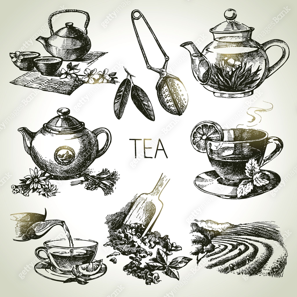 Hand drawn sketch vector tea set 이미지 (485697004) 일러스트, 무료 일러스트 - 게티이미지뱅크