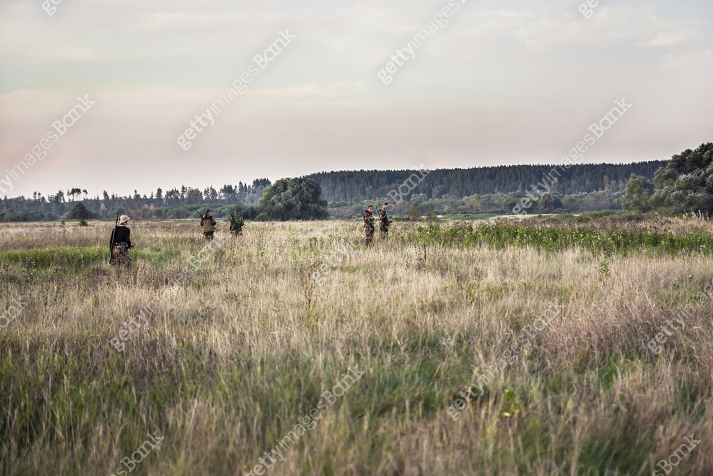 Hunting scene with hunters going through rural field during hunting 이미지 ...