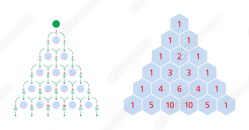 Galton board, normal distribution, Pascals triangle 이미지 (692476354 ...