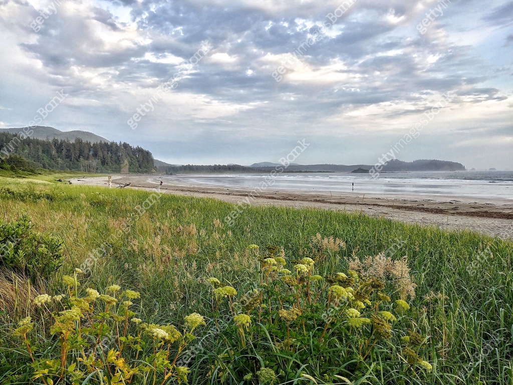 Neah Bay Beach, Makah Tribe, Washington Landscape 이미지 (819464592) - 게티이미지뱅크