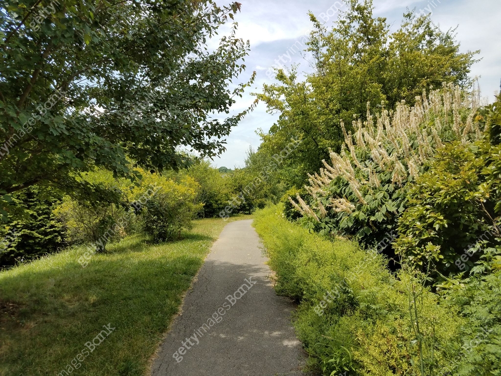 asphalt path with flowers and grasses 이미지 (826388750) - 게티이미지뱅크
