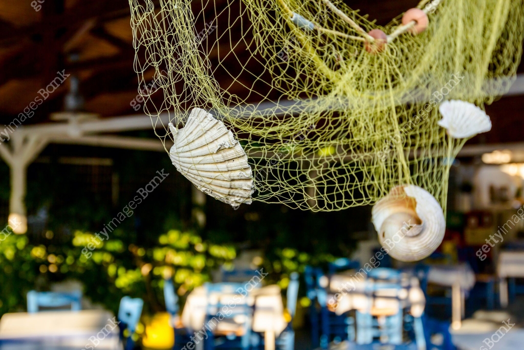 Shells Fishing Sea shells with fishing net as artistic design in a typical outdoor ...