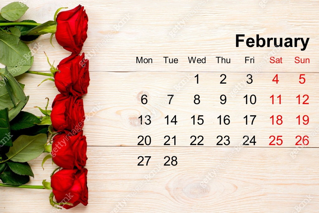 February Background Red Roses February calendar with red roses on white table 이미지 (897497924) - 게티이미지뱅크
