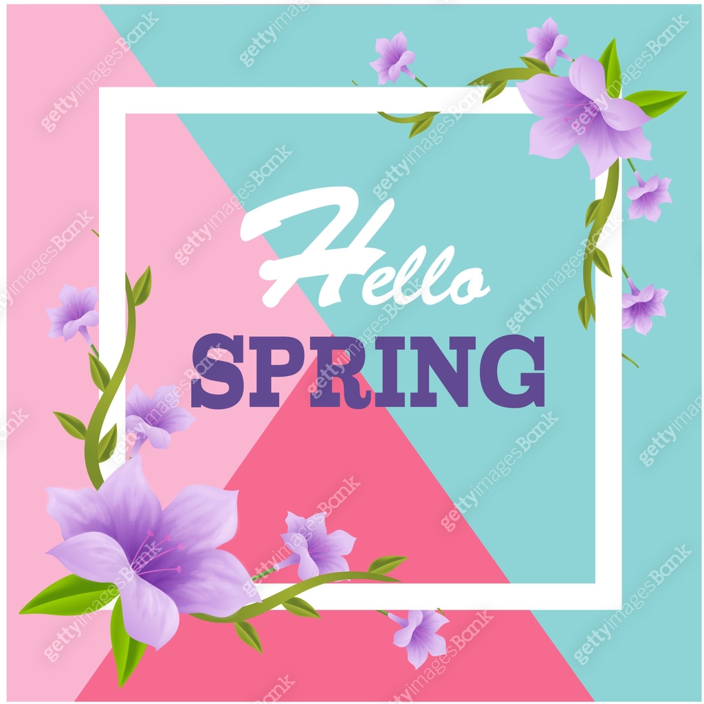 Hello Spring Square Purple Flower Colorful Background Vector Image 이미지 ...