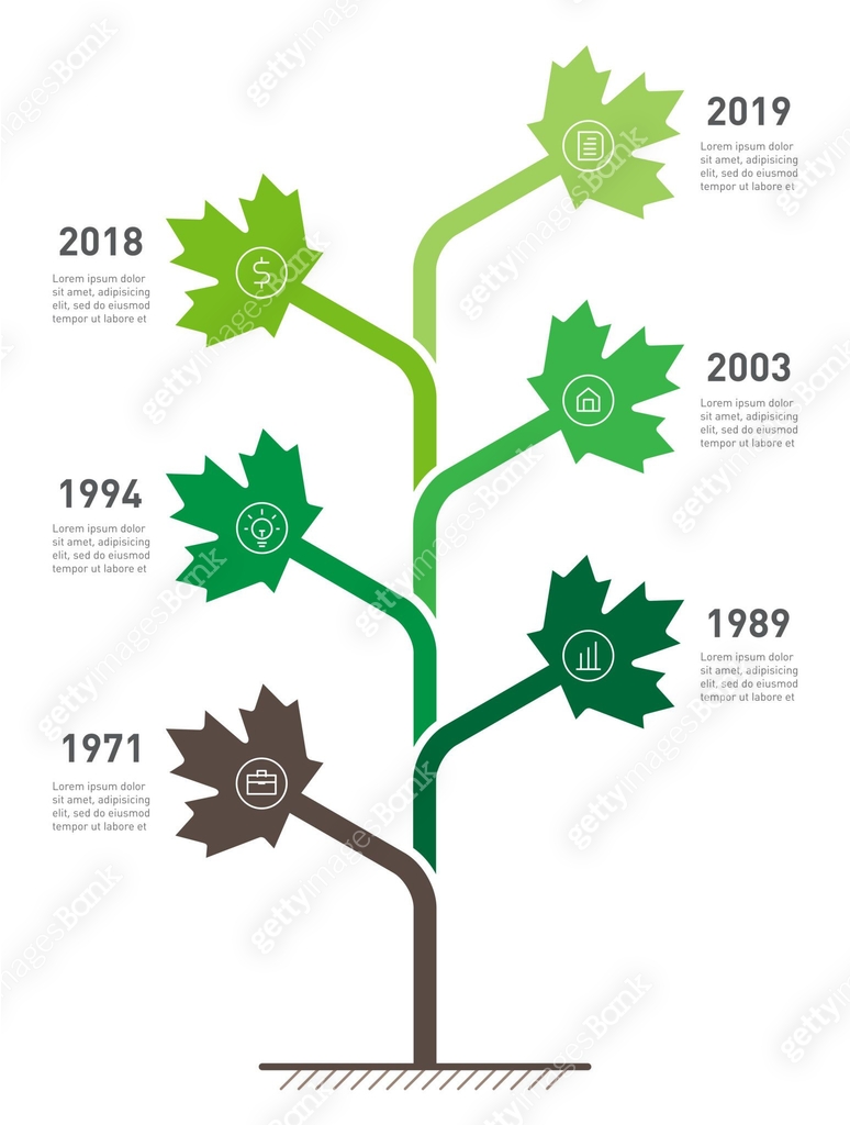 Timeline Treenode Graph Vertical Timeline infographics. The tree development and growth of the ...