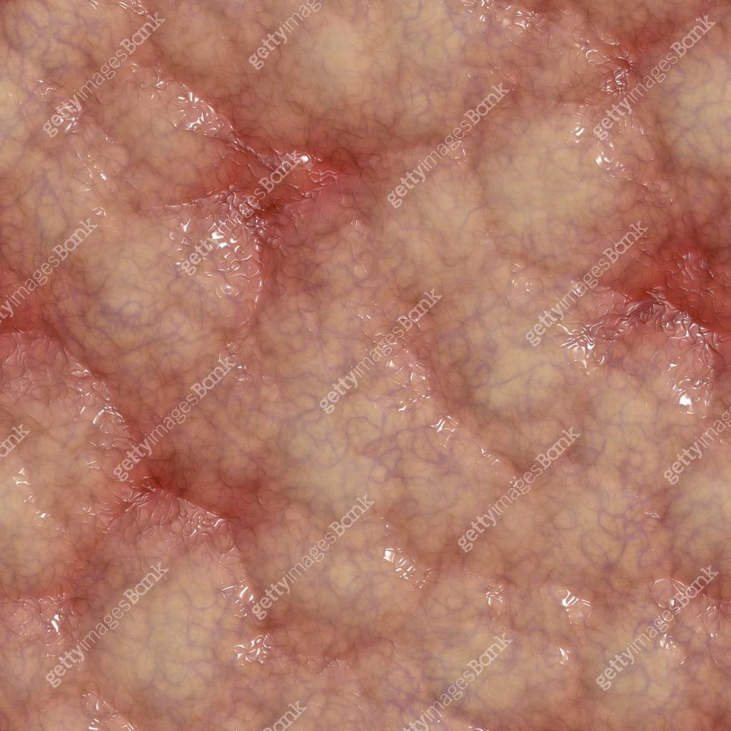 Brain Texture Cladding Brain texture, part of brain, section of connective tissue 이미지 ...