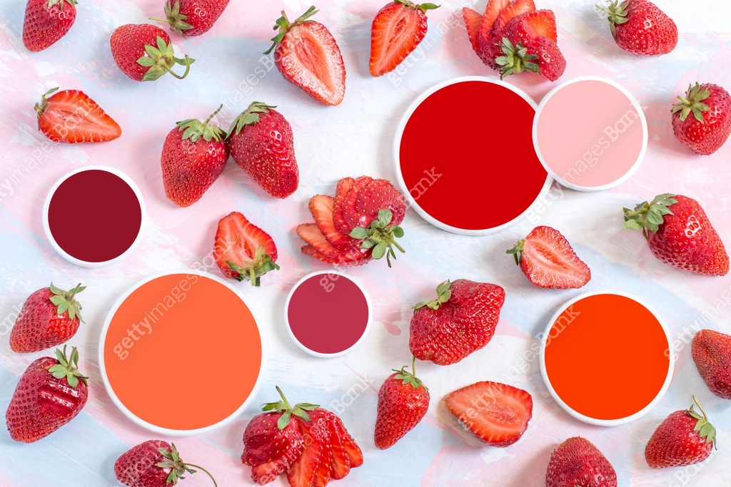 Fresh ripe strawberry and color samples 이미지 (1015653044) - 게티이미지뱅크
