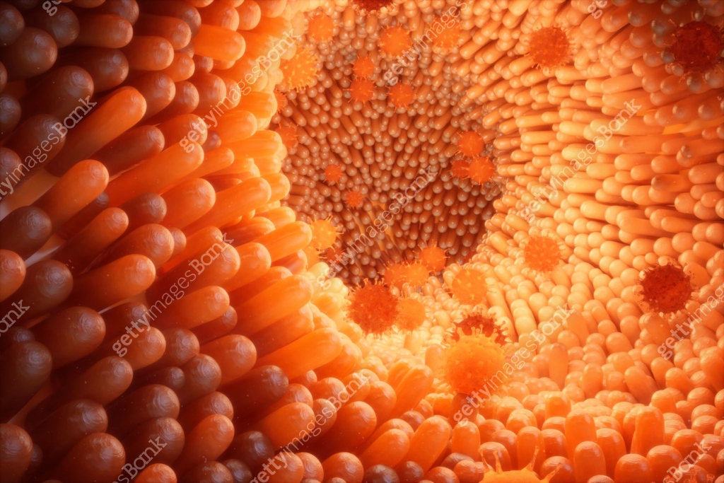 Intestinal Lining Rip 3d illustration Intestinal villi. Intestine lining. Microscopic villi ...