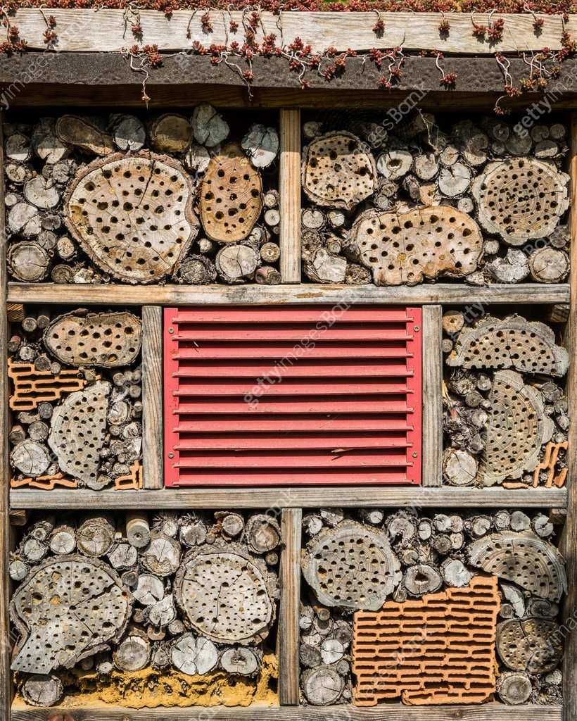 Insect Bank Front side of an insect hotel with various elements 이미지 (1031551448 ...