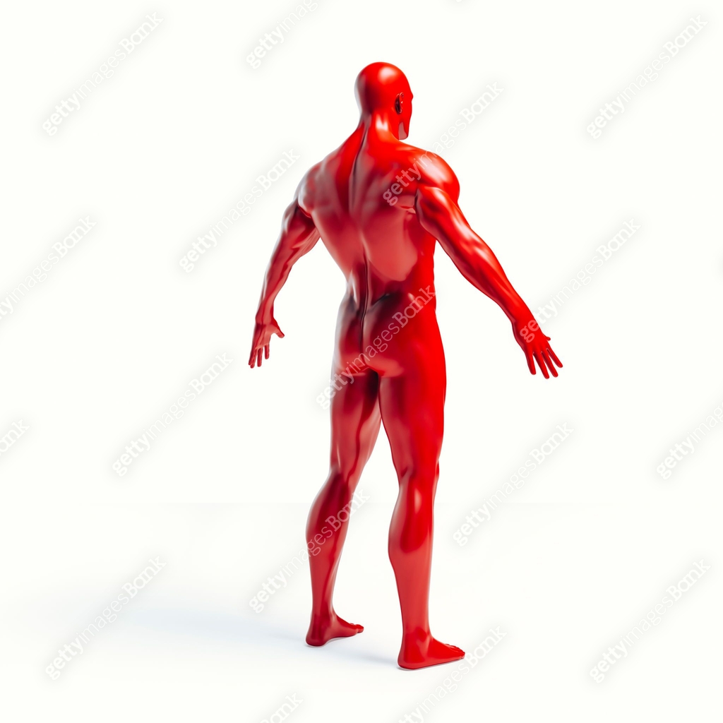 3 Body Rendering 3d human body render 이미지 (1053028764) - 게티이미지뱅크