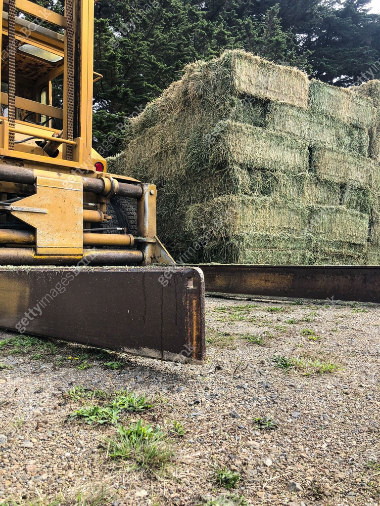 Hay loader machine with hay bales 이미지 (1049686104) - 게티이미지뱅크