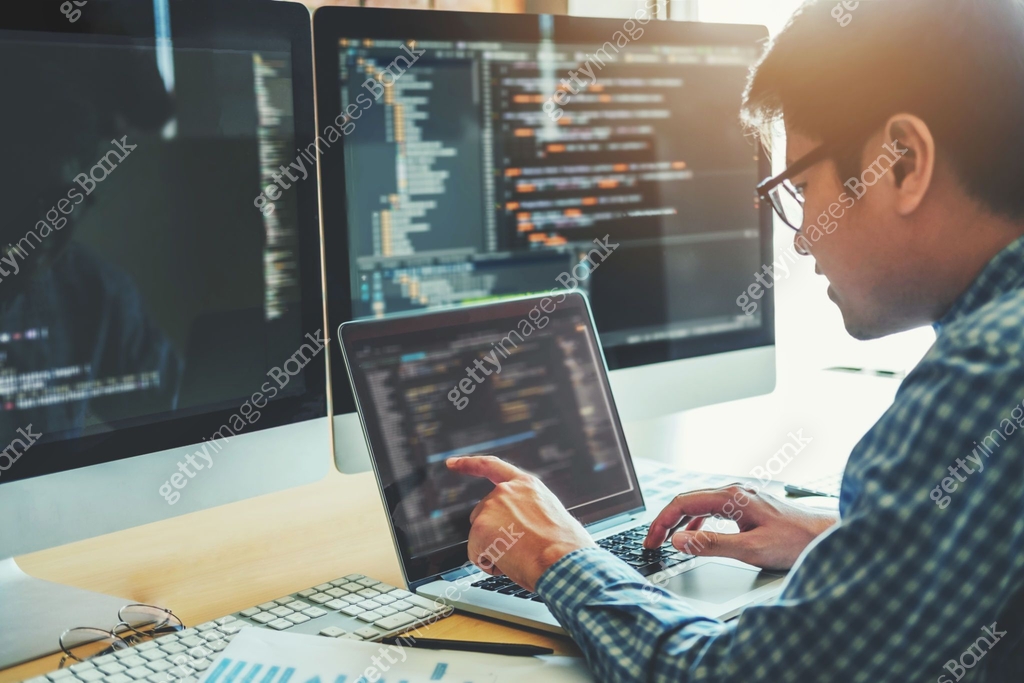 Developing programmer Development Website design and coding ...