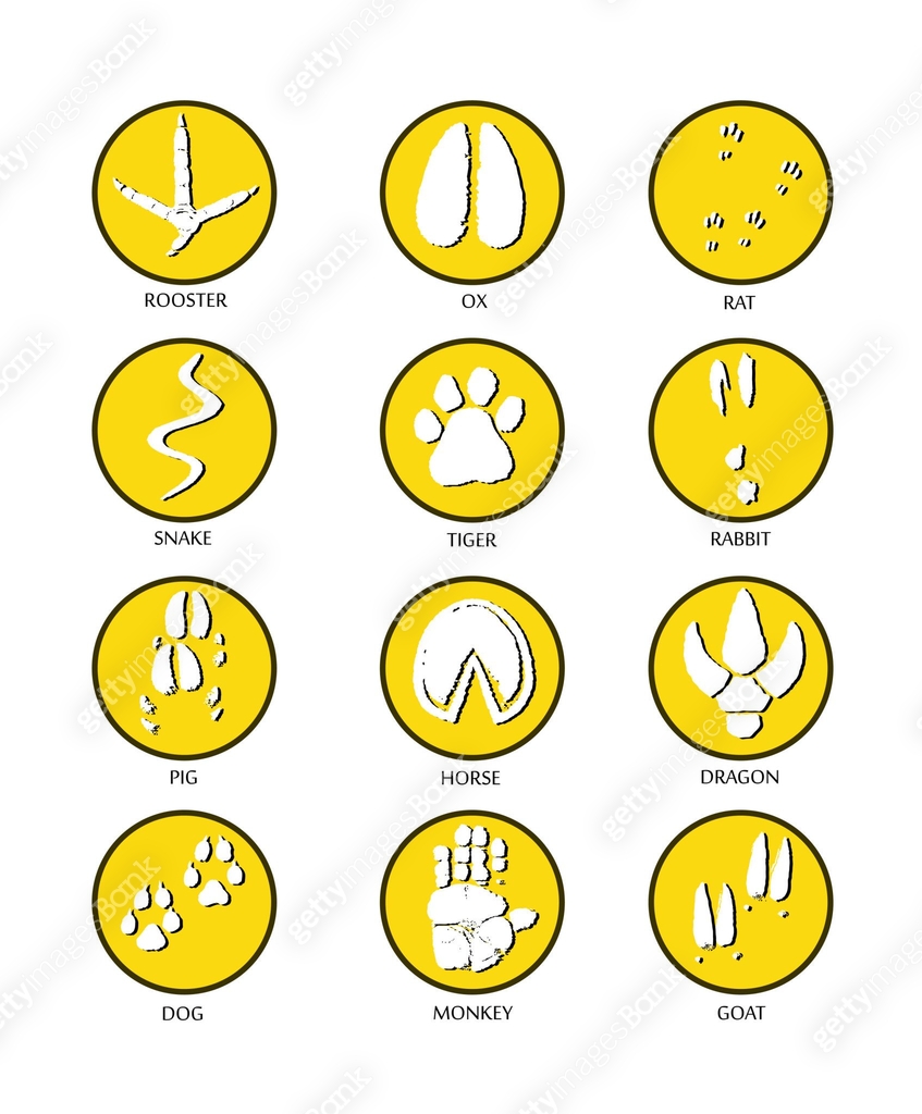 Paw prints marks , footprints of rat, mouse, snake, dragon, pig ...