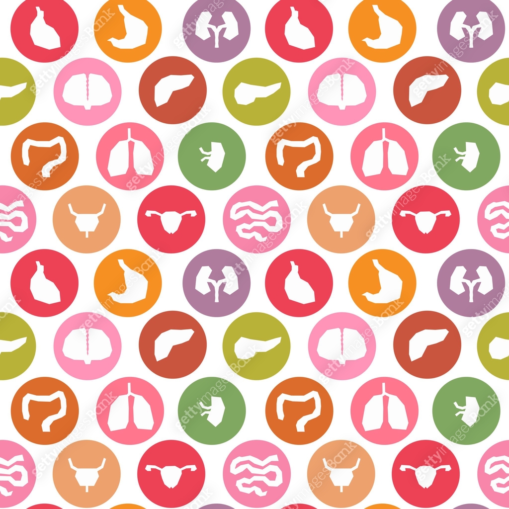 Organs Pattern Seamless anatomical pattern. Major human body internal organs. 이미지 ...