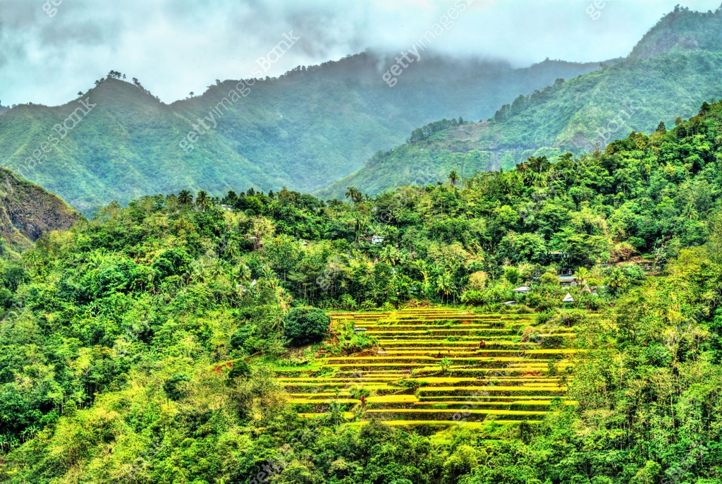 Mayoyao Rice Terraces, UNESCO world heritage in Ifugao, Philippines 이미지 ...