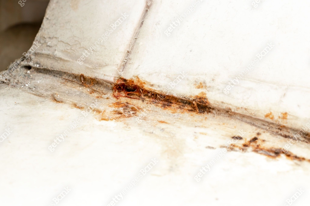 Mold fungus and rust growing in tile joints in damp poorly ventilated ...