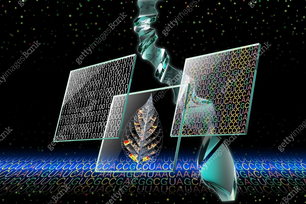 Image of genetic engineering and DNA Microarray. The binary code and ...