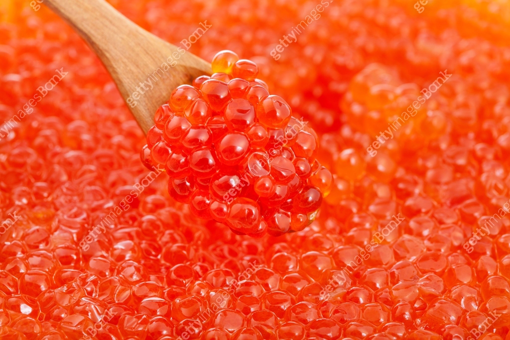 Carp Roe Spoon little spoon with red caviar over salted red roe 이미지 (1166468711) - 게티이미지뱅크