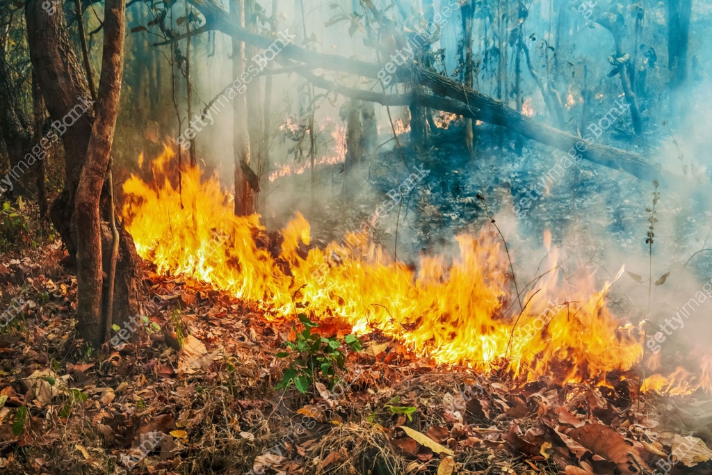 Australia bushfires, The fire is fueled by wind and heat. 이미지 ...