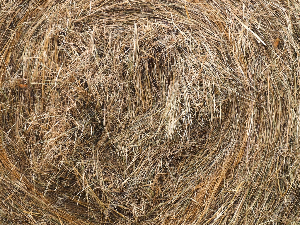 Stack dried grass background, close up Caucasus 이미지 (1194144046) - 게티이미지뱅크
