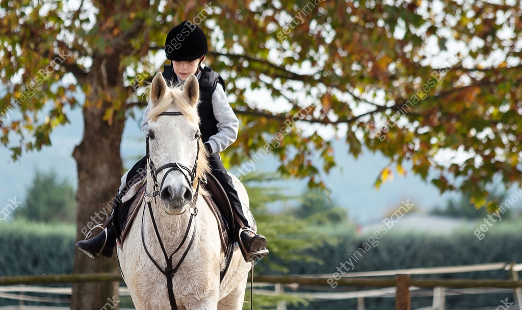 Kid riding white horse during horseback lessons. 이미지 (1189786678) - 게티이미지뱅크