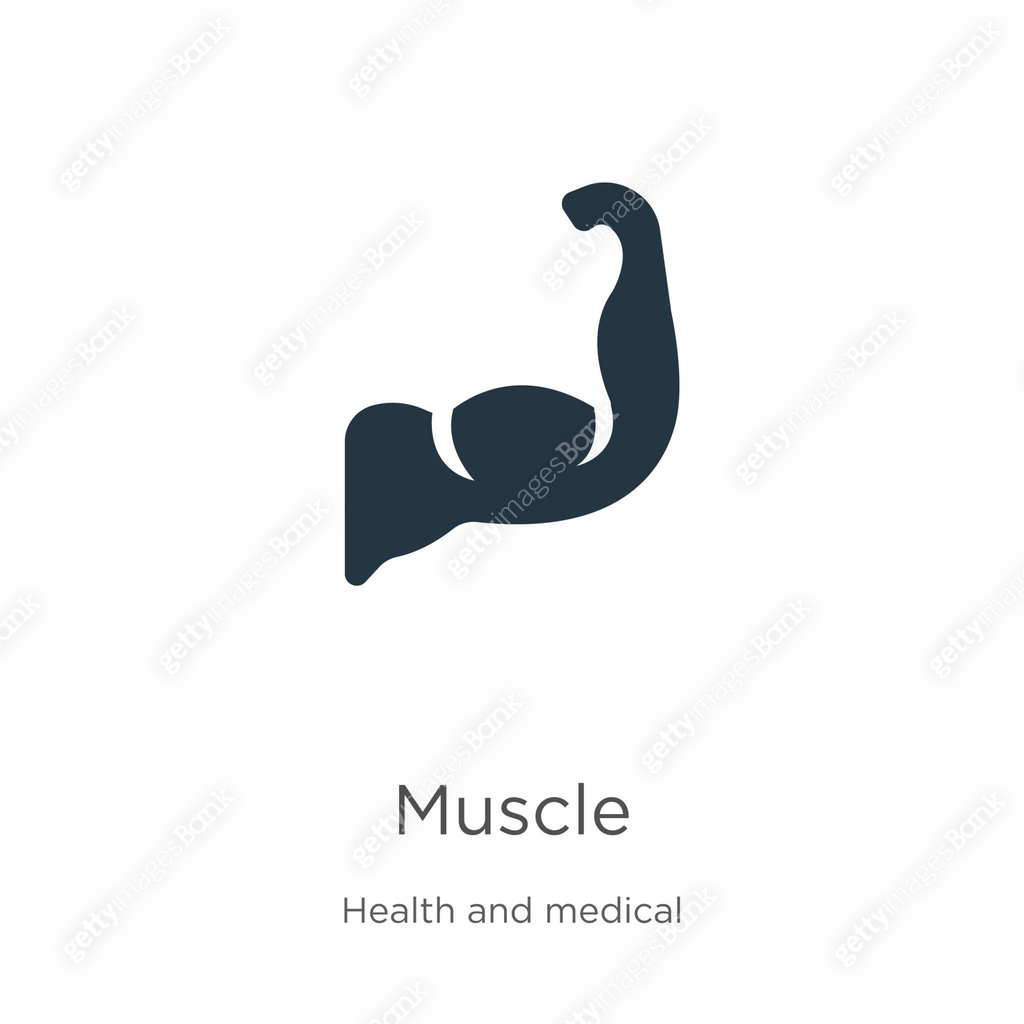 Muscle icon vector. Trendy flat muscle icon from health collection ...