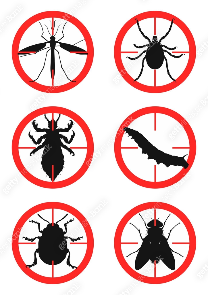 Set of warning signs with insects. Pests. Vector illustration 이미지 ...