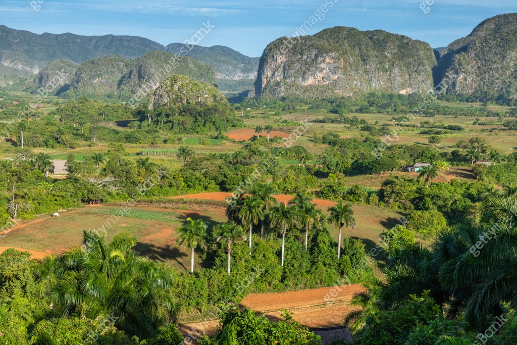 The Vinales Valley Valle De Vinales Popular Tourist Destination the-vinales-valley-valle-de-vinales-popular-tourist-destination