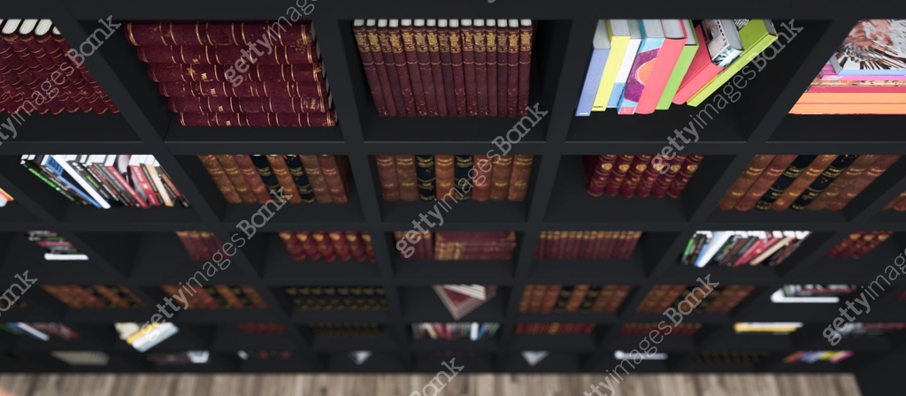 wooden bookshelf full of books from library top view realistic 3D ...