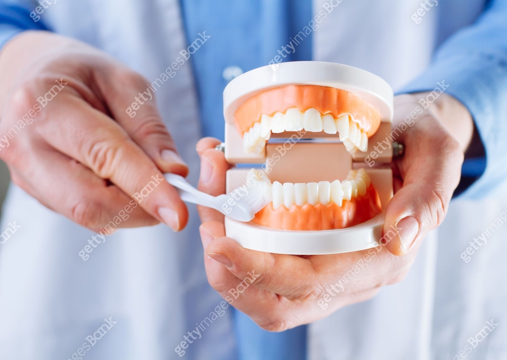 Dentist showing jaw model, giving lesson on proper teeth and oral