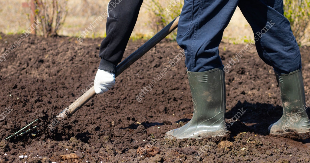 Digging of beds in the spring. Sowing. Preparing the soil for sowing ...