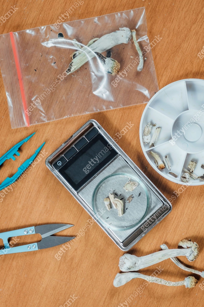 Microdosing Magic Mushrooms Psilocybin. Measuring Daily Micro Dose of ...