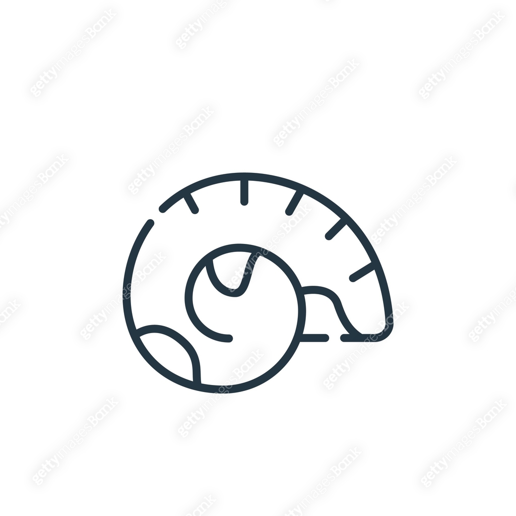 shell vector icon. shell editable stroke. shell linear symbol for use ...