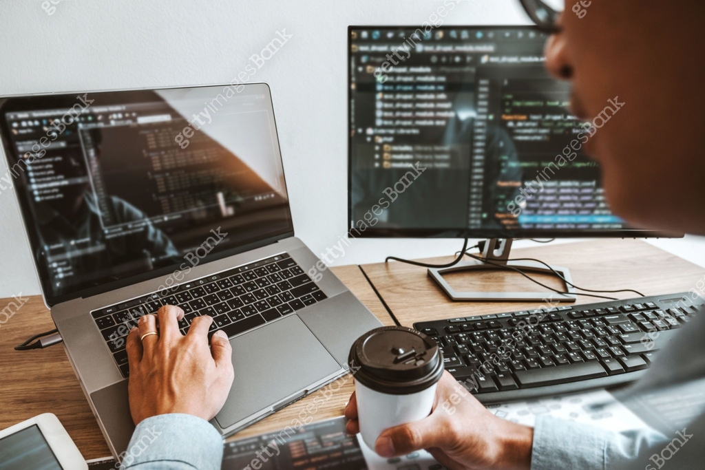 Developing programmer Development Website design and coding ...