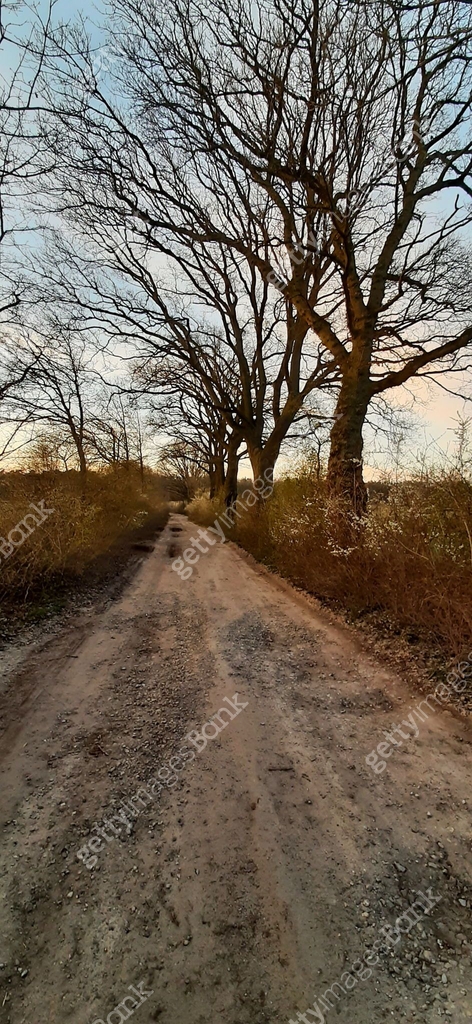 sand path in nature 이미지 (1243247333) - 게티이미지뱅크