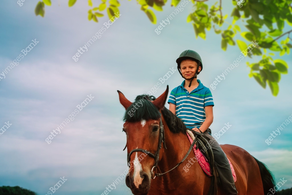 Kid riding horse in nature, horseback lesson outdoors 이미지 (1256723940 ...