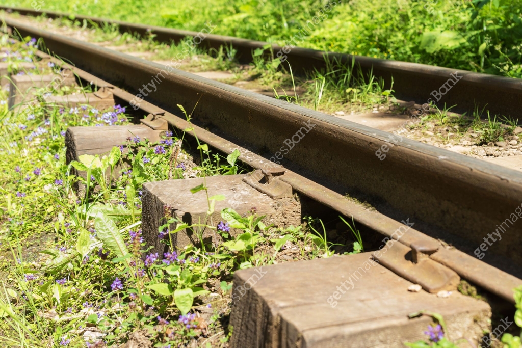 rusty rails and old sleepers with grass in it on abandoned railway in ...