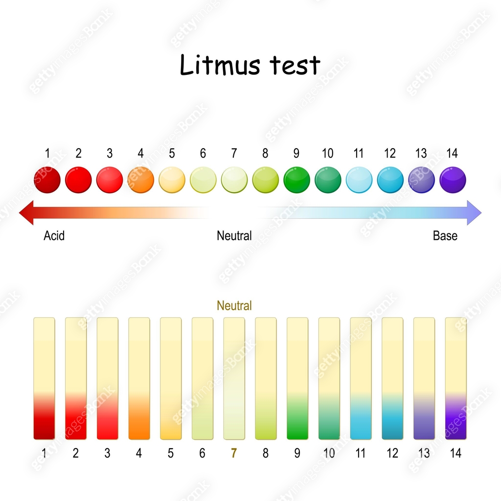 Using Litmus Paper Litmus test. ph scale 이미지 (1313309984) - 게티이미지뱅크