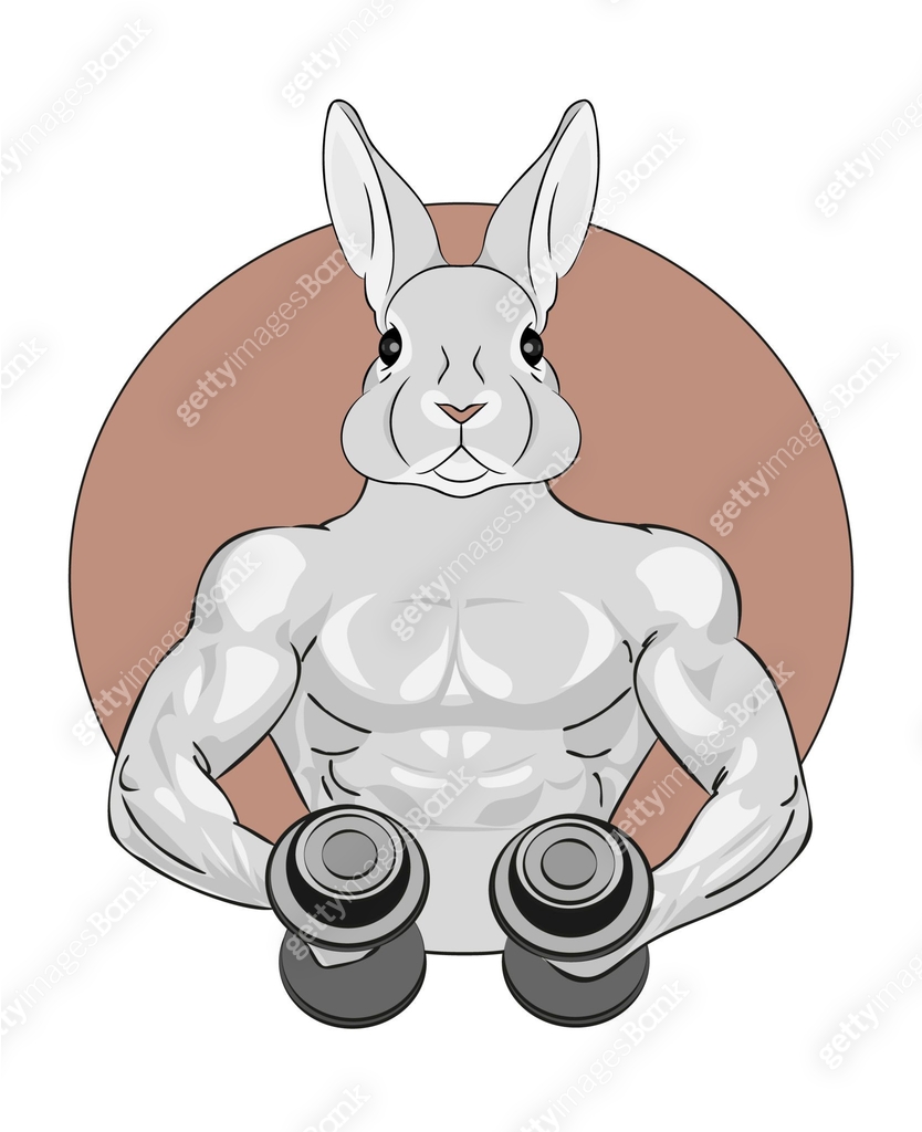 Strong muscular rabbit holding two dumbbells 이미지 (1325851343) 일러스트, 무료 ...