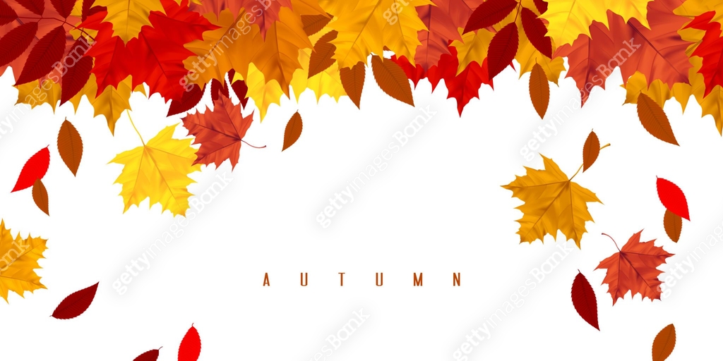 Leaf fall. Horizontal background with autumn leaves. Banner with maple ...