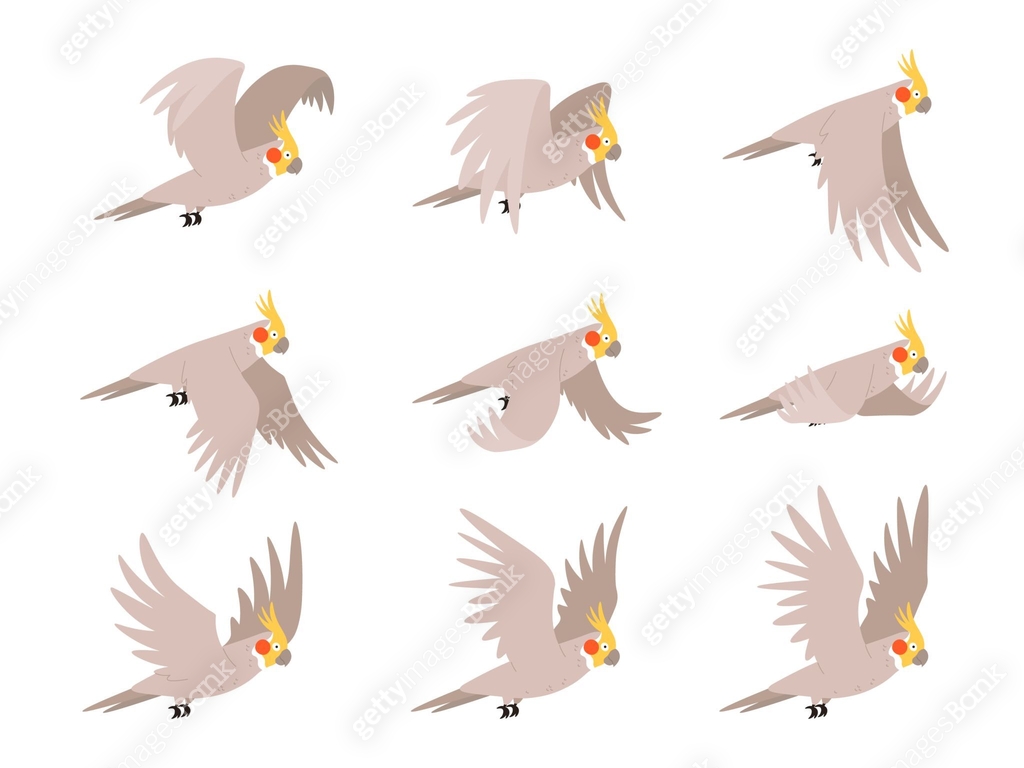 Cartoon cockatoo parrot fly animation frames sequence. Animated sprites ...