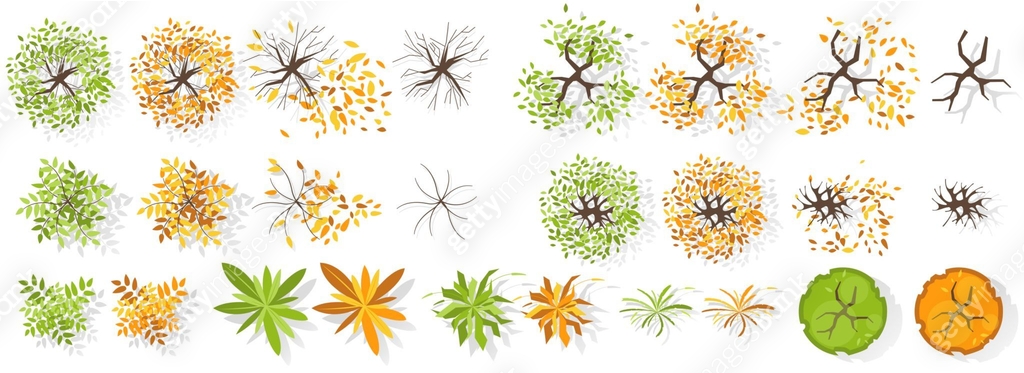 Set of summer and Autumn trees and plants top view. Various plants for ...