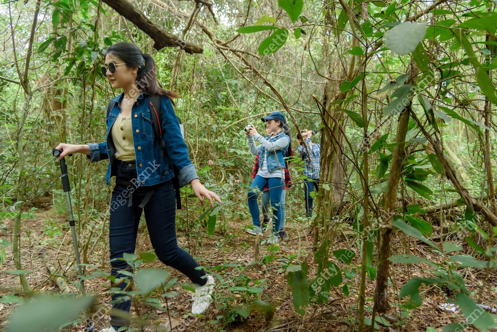 Group of friends walking on an adventure in the forest Have fun ...